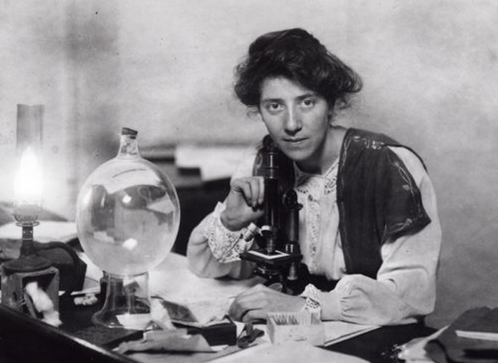 Katharine Burdekin: Swastika Geceleri